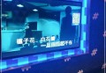 张哲瀚工作室招聘条件（张哲瀚工作室招聘要求）