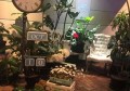 找工作附近本地招聘条件（探寻周边本地就业机遇与岗位要求）