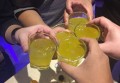 上海不喝酒的夜场招聘商务接待,场子生意好吗_