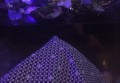 声纳工作室招聘条件（声纳工作室人才招募标准）